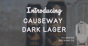 Introducing Causeway Dark Lager