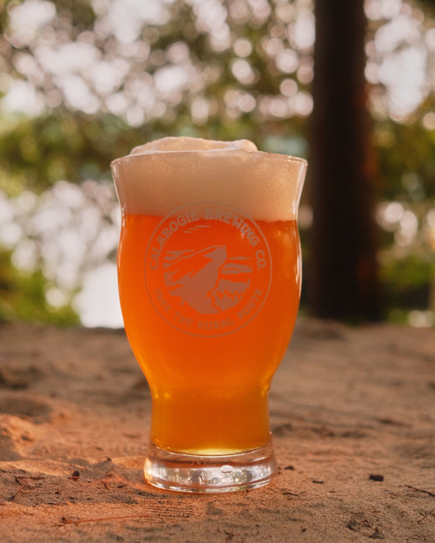 A frosted glass filled with orange beer and topped with white foam, standing on a dirt surface outdoors with a blurred natural background. The glass has a circular logo etched on it reading 'Calabogie Brewing Co'.