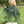Load image into Gallery viewer, Camp Calabogie 1/4 Zip
