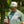 Load image into Gallery viewer, Rural Route Cap
